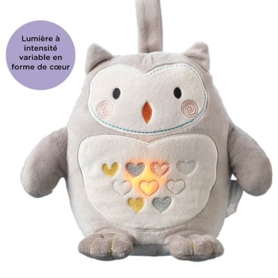Pippo le Panda Gigoteuse TOG 1 Gris 18-36 mois de Tommee Tippee, Gigoteuse  d'hiver : Aubert Suisse