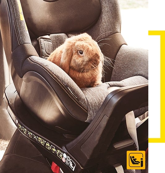 Choisissez un siège auto pivotant pour bébé