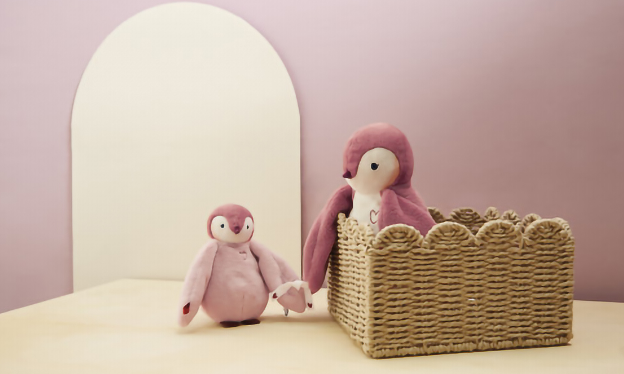 Collection Complices